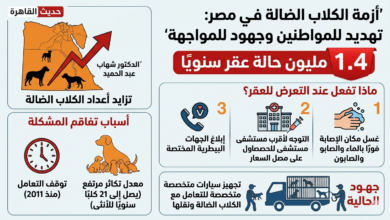 Photo of رئيس جمعية الرفق بالحيوان: 1.4 مليون حالة عقر سنويًا بسبب الكلاب الضالة في مصر