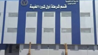 Photo of الأمن يضبط شقيقين روّجا المواد المخدرة على مواقع التواصل بالقليوبية