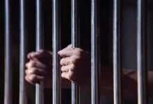 Photo of بدء محاكمة المتهمين في واقعة طفل باسوس بالقناطر الخيرية وسط حراسة مشددة