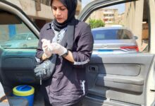 Photo of بيطري القليوبية تواصل جهودها لتحقيق “مصر خالية من السعار 2030”