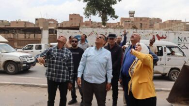 Photo of محافظ القليوبية يقود إزالة برجين مخالفين بشبرا الخيمة ويؤكد: لا تراجع عن استعادة الانضباط العمراني