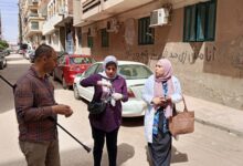 Photo of حملات مكثفة للسيطرة على الحيوانات الضالة بمدينة بنها وتعزيز الصحة العامة