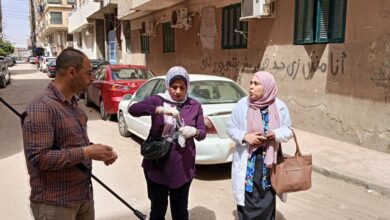 Photo of حملات مكثفة للسيطرة على الحيوانات الضالة بمدينة بنها وتعزيز الصحة العامة