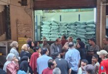 Photo of  تموين القليوبية: ضبط 387 بطاقة تموينية وتحرير 140 مخالفة خلال حملات على 1900 مخبز بلدي