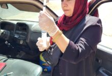 Photo of بيطري القليوبية يواصل جهوده لتحصين الكلاب الحرة بمحيط لجان الثانوية العامة ببنها